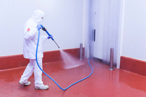 Best Patio and Deck Pressure Washing  in Boston, GA